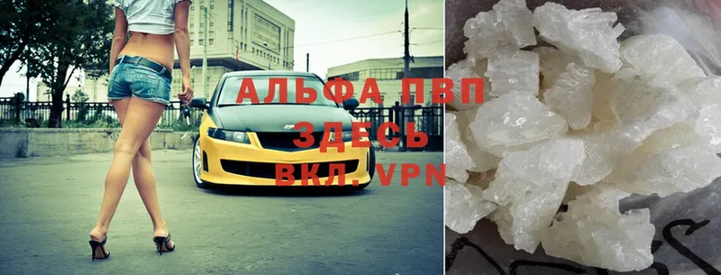 Alfa_PVP СК  Пудож 